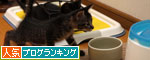 石橋を叩いて渡る性格_d0355333_11084926.jpg