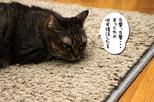 足踏み状態でも。_d0355333_11085434.jpg