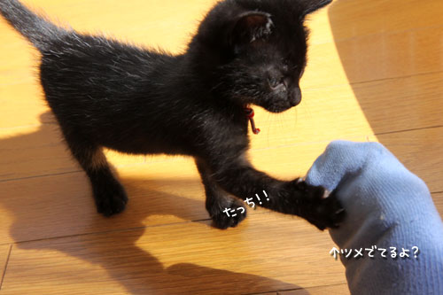 足踏み状態でも。_d0355333_11085457.jpg