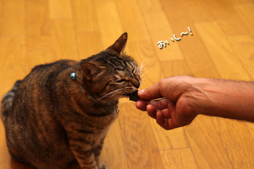 ここから始まる、二度目の闘い。_d0355333_11085510.jpg