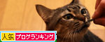 ここから始まる、二度目の闘い。_d0355333_11085520.jpg
