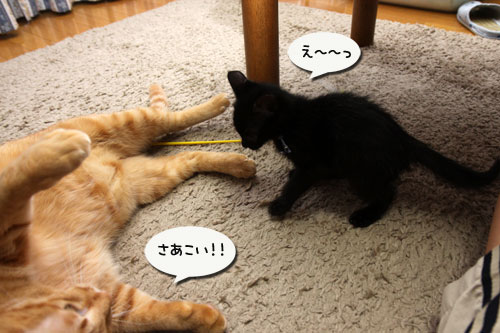 面白くないときは_d0355333_11085820.jpg