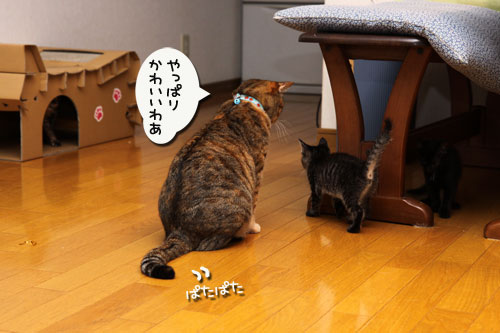 面白くないときは_d0355333_11085845.jpg