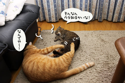 面白くないときは_d0355333_11085849.jpg