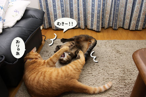 面白くないときは_d0355333_11085879.jpg