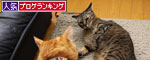 面白くないときは_d0355333_11085976.jpg