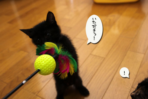 おもちゃにドキドキ_d0355333_11090158.jpg