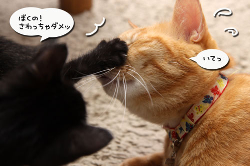 おもちゃにドキドキ_d0355333_11090293.jpg