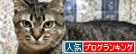 あすかちゃんの変化_d0355333_11090476.jpg