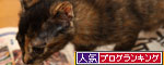 枝豆応援隊結成!_d0355333_11090985.jpg