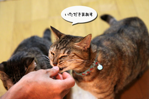 おにおにタイムにまっしぐら!_d0355333_11091604.jpg