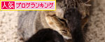 やさしさが伝わるとき?_d0355333_11091738.jpg