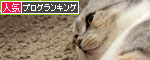 猫も食わぬ夫婦喧嘩。_d0355333_11091942.jpg