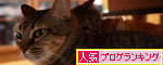 仲良し定員オーバーの隙間に_d0355333_11092300.jpg