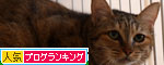 ゆいちゃんの正式譲渡_d0355333_11092522.jpg
