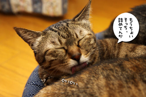 色悪ィ~ずのおケツ張り合い_d0355333_11092749.jpg