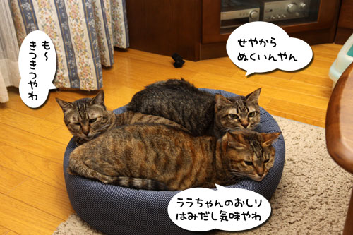 色悪ィ~ずのおケツ張り合い_d0355333_11092784.jpg