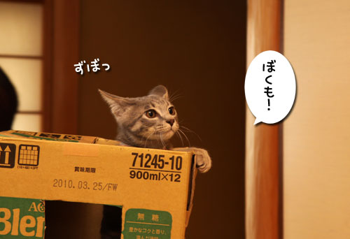 d0355333_11093561.jpg