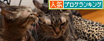 猫ソファでの出来事。_d0355333_11094111.jpg