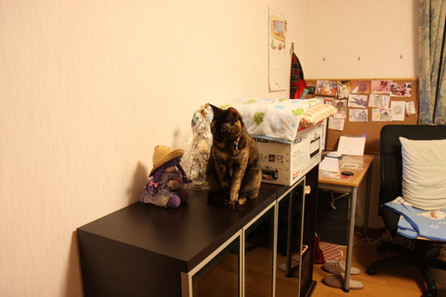 新しい人気スポット_d0355333_11100063.jpg