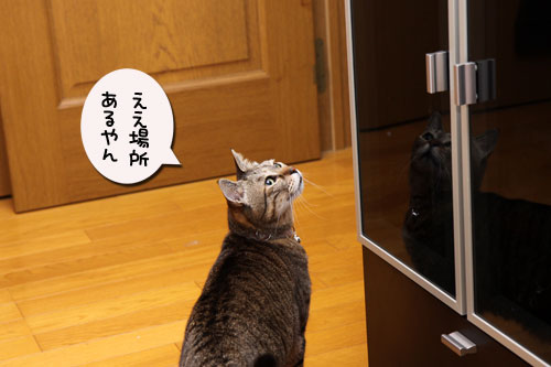 新しい人気スポット_d0355333_11100078.jpg