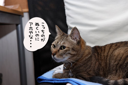 新しい人気スポット_d0355333_11100102.jpg