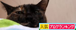 新しい人気スポット_d0355333_11100246.jpg