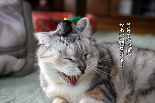 謹賀新年!_d0355333_12451084.jpg