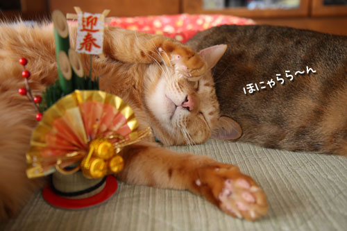 謹賀新年!_d0355333_12451092.jpg