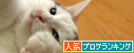 ななこのバースデイ_d0355333_12452120.jpg