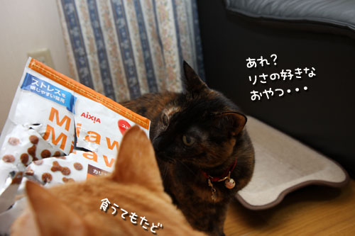 犯にゃんは誰だ_d0355333_12454119.jpg