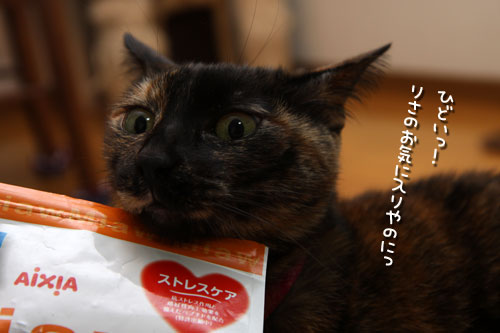 犯にゃんは誰だ_d0355333_12454163.jpg