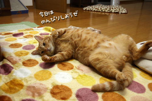 発作なし!_d0355333_12460110.jpg