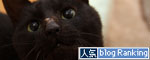 ともだちになりたいな_d0355333_12460152.jpg