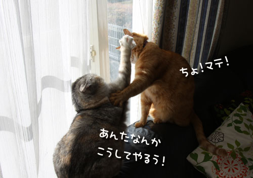 いつもどおりが一番。_d0355333_12460502.jpg