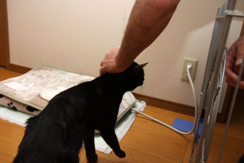 ともだちになりたいな_d0355333_12460888.jpg