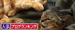 寒い夜の過ごし方_d0355333_12461027.jpg
