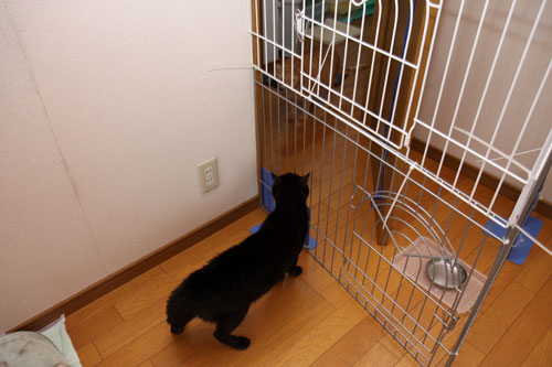 もしかして、苦手?_d0355333_12461353.jpg