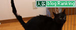 猫の昼間はこんな感じ?_d0355333_12461766.jpg