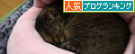 猫マカロン_d0355333_12462209.jpg