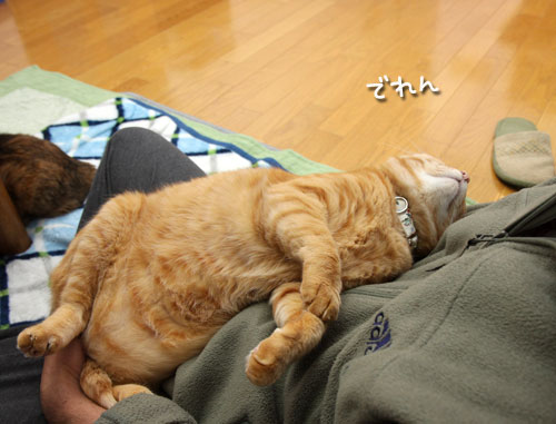 やっぱり緊張する_d0355333_12462519.jpg