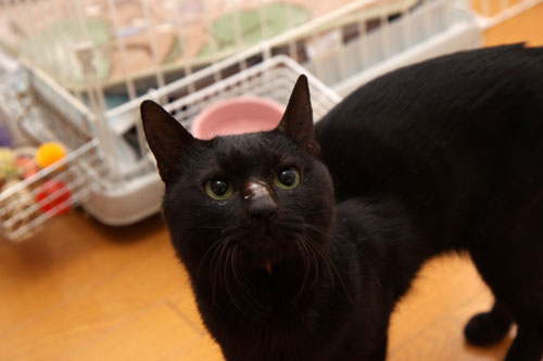 いつでも前向きに_d0355333_12463273.jpg