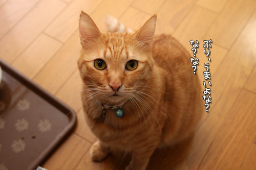 いつでも前向きに_d0355333_12463308.jpg