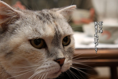 いつでも前向きに_d0355333_12463321.jpg