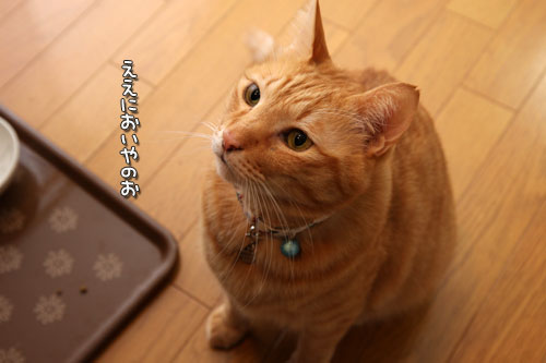 いつでも前向きに_d0355333_12463373.jpg