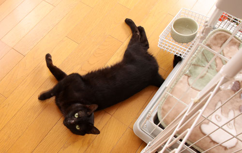 ちょっと勇気を出して_d0355333_12463770.jpg