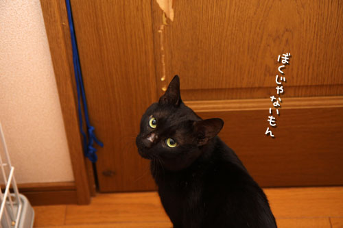 ぷしゅう・・・_d0355333_12464058.jpg