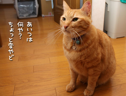 ぷしゅう・・・_d0355333_12464157.jpg