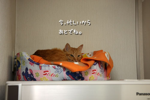 社長のお仕事_d0355333_12464430.jpg
