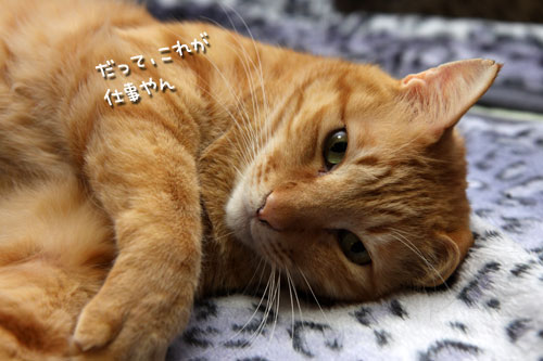 社長のお仕事_d0355333_12464441.jpg